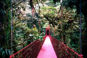 Costa Rica Travel Agent